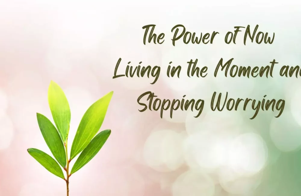 The Power of Now: 6 Steps to Stop Worrying and Live in the Present Living in the Moment and Stopping Worrying 1440x810 1
