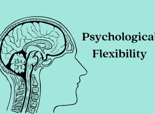 What is Psychological Flexibility and 7 Ways to Develop It What is Psychological Flexibility and 7 Ways to Develop It