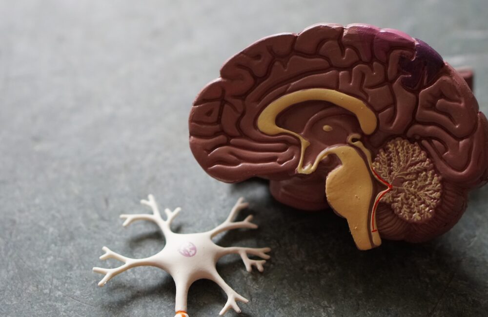 6 Effective Ways to Boost Your Cognitive Health 6 Effective Ways to Boost Your Cognitive Health