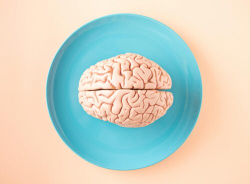 The Science Behind Addiction: How Substances Affect the Brain How Substances Affect the Brain
