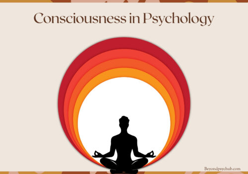 Consciousness in Psychology: Levels, States & Theories Explained