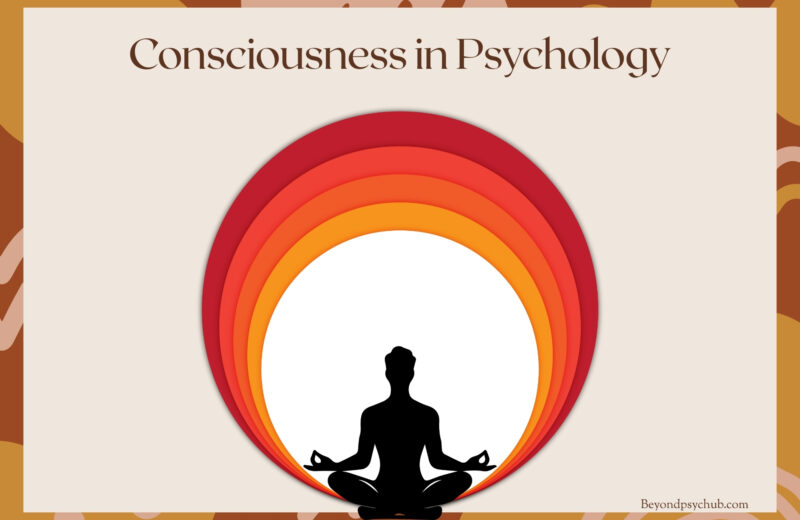 Consciousness in Psychology: Levels, States & Theories Explained